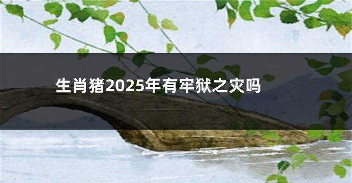 生肖猪2025年有牢狱之灾吗