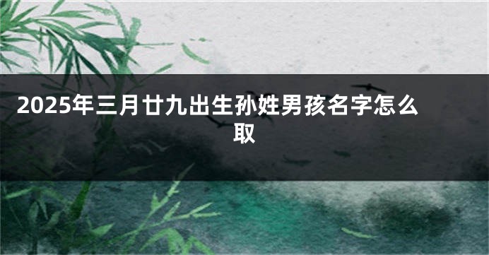 2025年三月廿九出生孙姓男孩名字怎么取