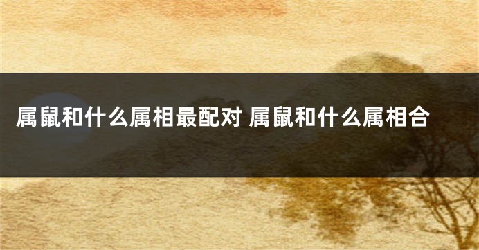 属鼠和什么属相最配对 属鼠和什么属相合