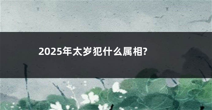 2025年太岁犯什么属相?