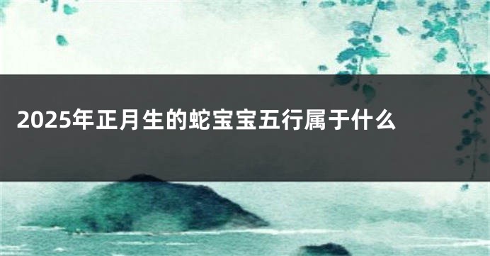 2025年正月生的蛇宝宝五行属于什么 