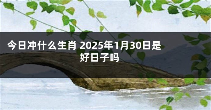 今日冲什么生肖 2025年1月30日是好日子吗 