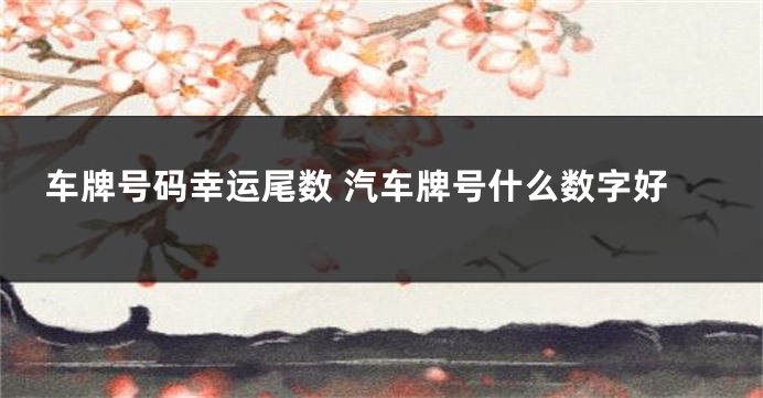 车牌号码幸运尾数 汽车牌号什么数字好