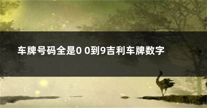 车牌号码全是0 0到9吉利车牌数字