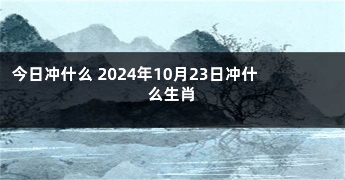 今日冲什么 2024年10月23日冲什么生肖