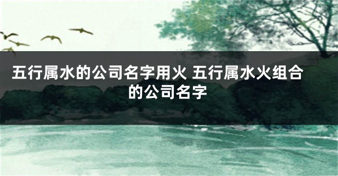 五行属水的公司名字用火 五行属水火组合的公司名字