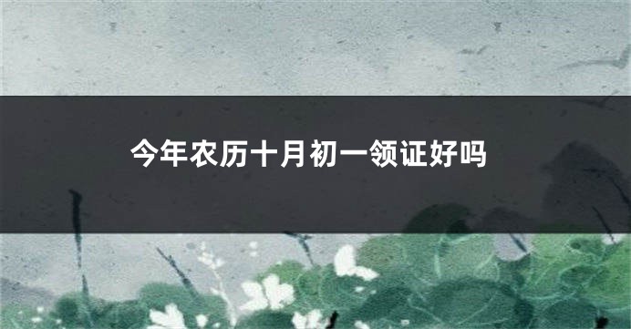 今年农历十月初一领证好吗