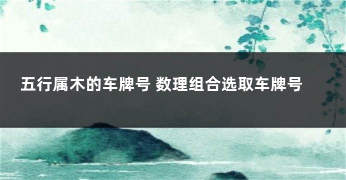 五行属木的车牌号 数理组合选取车牌号