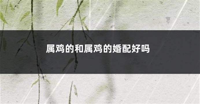 属鸡的和属鸡的婚配好吗