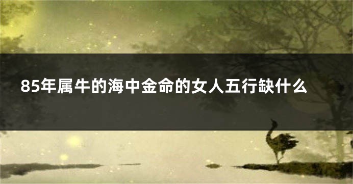 85年属牛的海中金命的女人五行缺什么