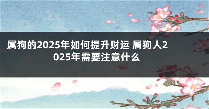 属狗的2025年如何提升财运 属狗人2025年需要注意什么