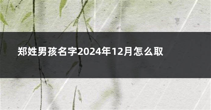 郑姓男孩名字2024年12月怎么取