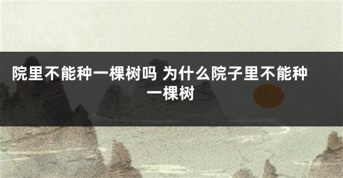 院里不能种一棵树吗 为什么院子里不能种一棵树