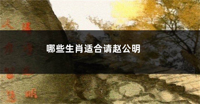 哪些生肖适合请赵公明 