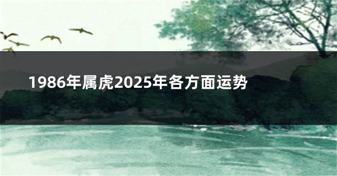 1986年属虎2025年各方面运势
