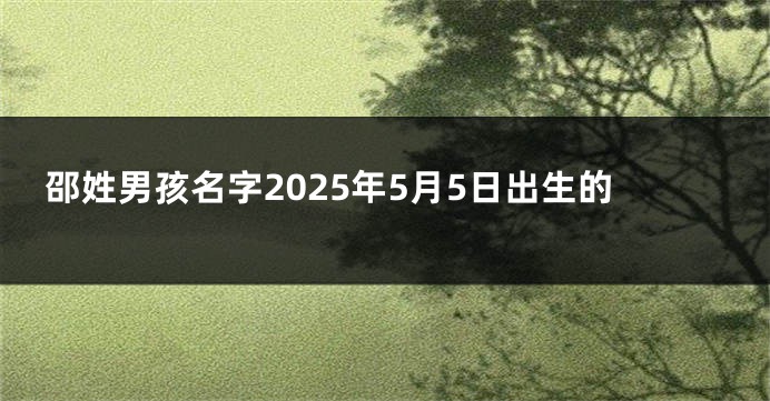 邵姓男孩名字2025年5月5日出生的