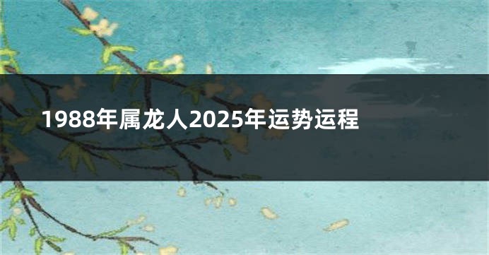 1988年属龙人2025年运势运程