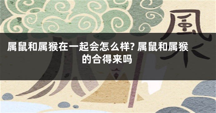 属鼠和属猴在一起会怎么样? 属鼠和属猴的合得来吗