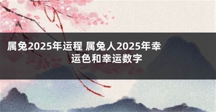 属兔2025年运程 属兔人2025年幸运色和幸运数字