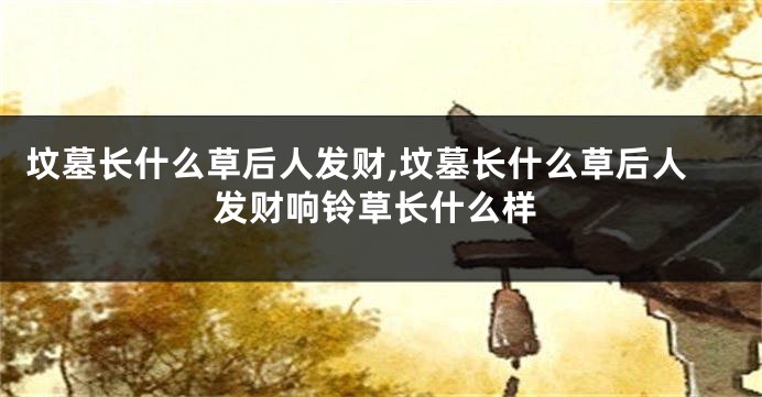 坟墓长什么草后人发财,坟墓长什么草后人发财响铃草长什么样