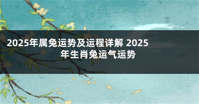 2025年属兔运势及运程详解 2025年生肖兔运气运势