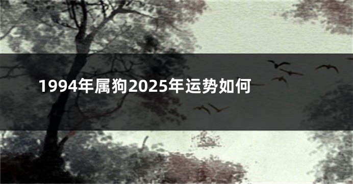 1994年属狗2025年运势如何