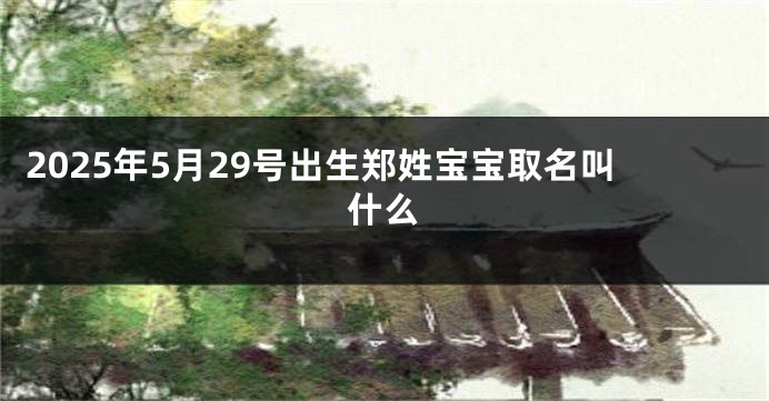 2025年5月29号出生郑姓宝宝取名叫什么