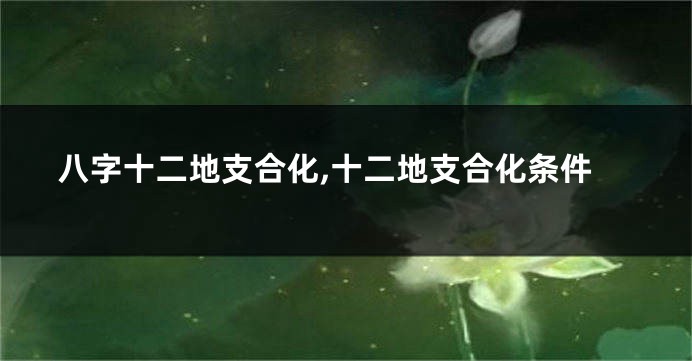 八字十二地支合化,十二地支合化条件