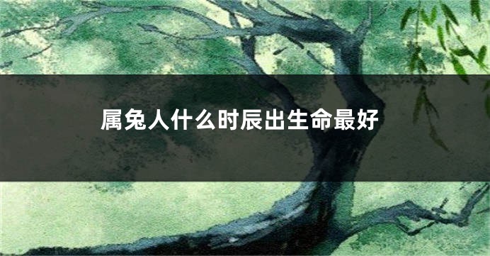 属兔人什么时辰出生命最好