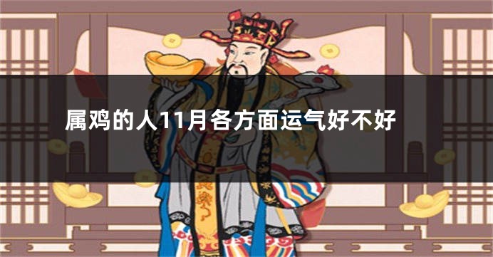属鸡的人11月各方面运气好不好