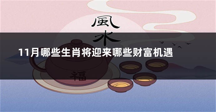 11月哪些生肖将迎来哪些财富机遇 