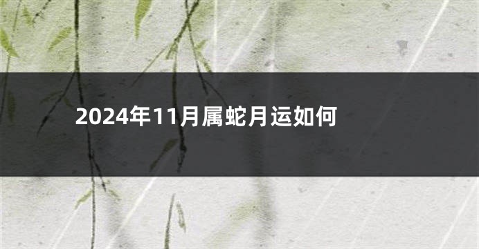 2024年11月属蛇月运如何