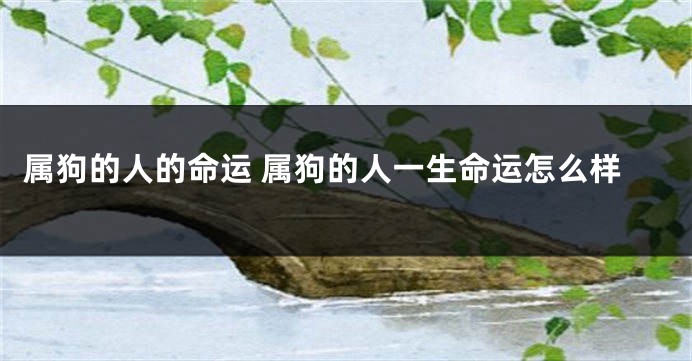 属狗的人的命运 属狗的人一生命运怎么样