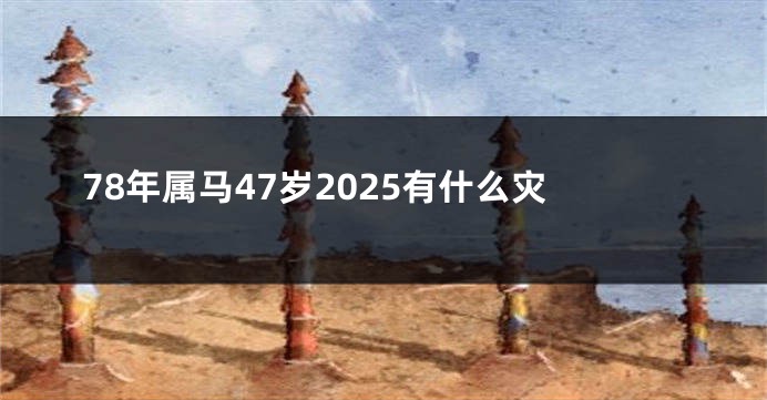 78年属马47岁2025有什么灾