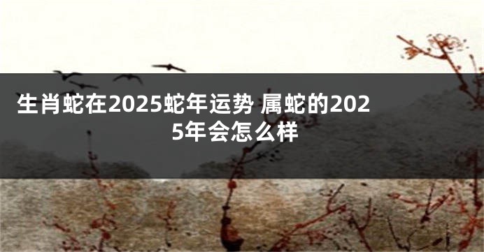 生肖蛇在2025蛇年运势 属蛇的2025年会怎么样
