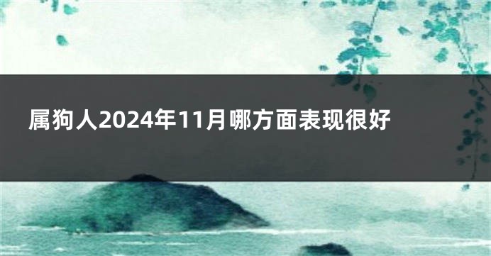 属狗人2024年11月哪方面表现很好