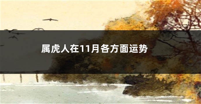 属虎人在11月各方面运势
