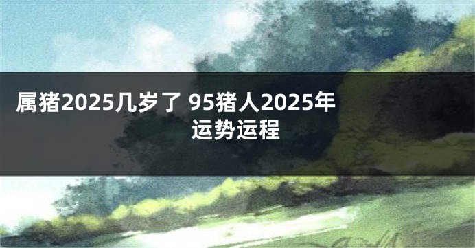 属猪2025几岁了 95猪人2025年运势运程