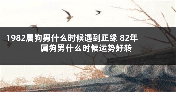 1982属狗男什么时候遇到正缘 82年属狗男什么时候运势好转