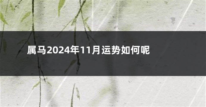 属马2024年11月运势如何呢