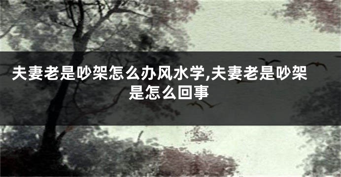 夫妻老是吵架怎么办风水学,夫妻老是吵架是怎么回事
