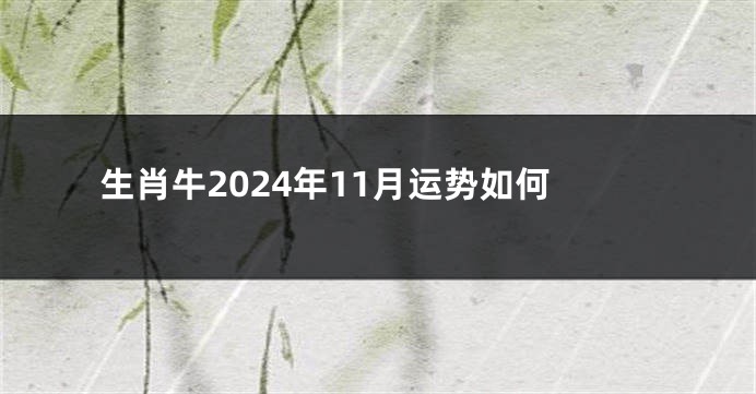 生肖牛2024年11月运势如何