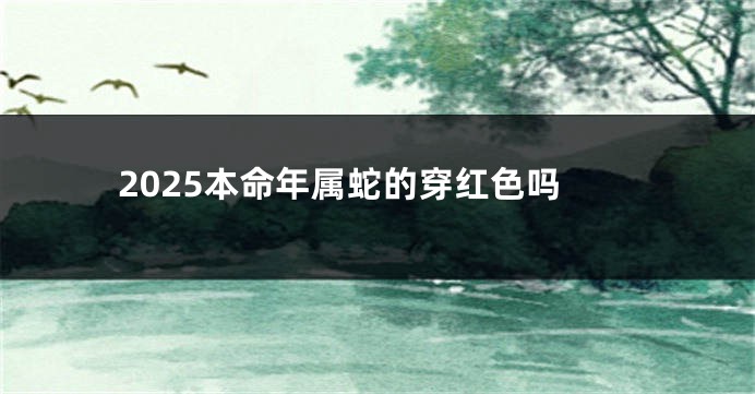 2025本命年属蛇的穿红色吗