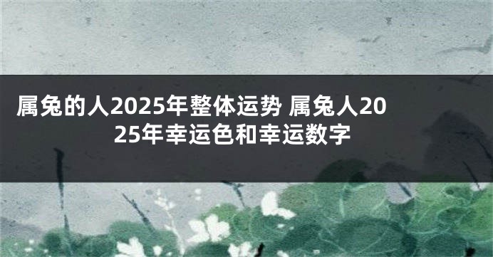 属兔的人2025年整体运势 属兔人2025年幸运色和幸运数字