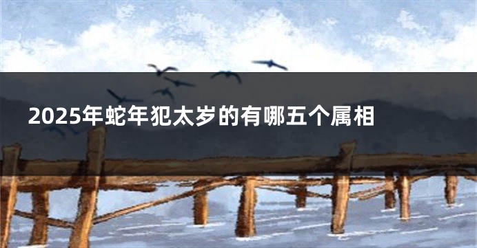 2025年蛇年犯太岁的有哪五个属相 
