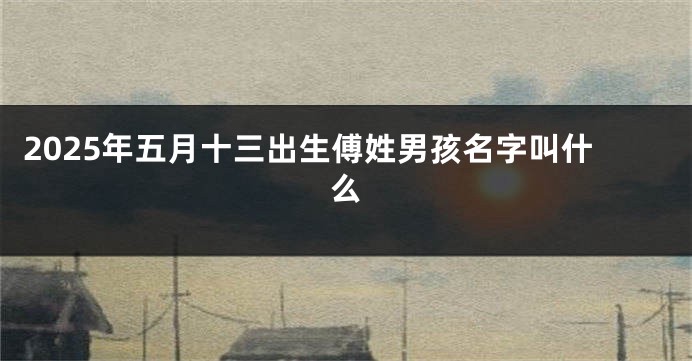 2025年五月十三出生傅姓男孩名字叫什么