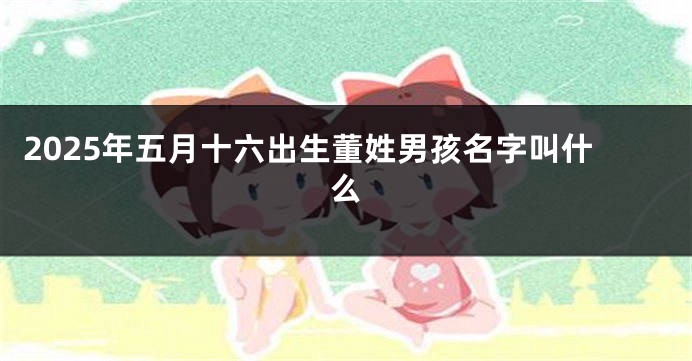 2025年五月十六出生董姓男孩名字叫什么