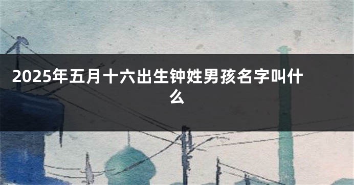 2025年五月十六出生钟姓男孩名字叫什么