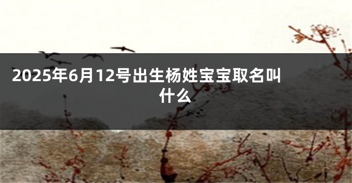 2025年6月12号出生杨姓宝宝取名叫什么