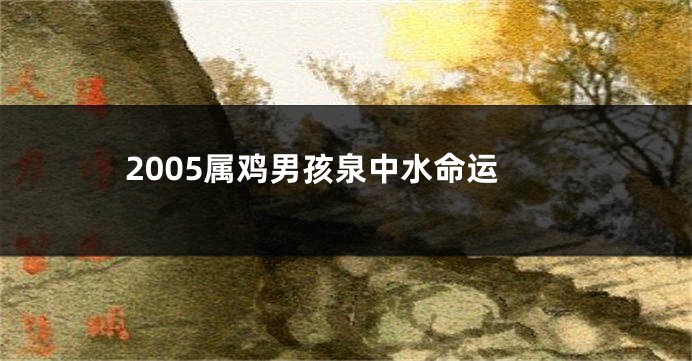 2005属鸡男孩泉中水命运